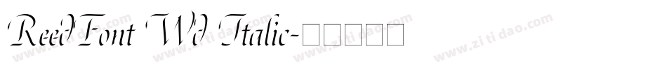 ReedFont Wd Italic字体转换